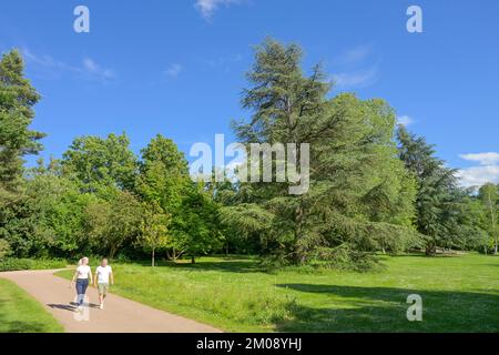 Kurpark, Salzbachtal, Wiesbaden, Hessen, Deutschland Stockfoto