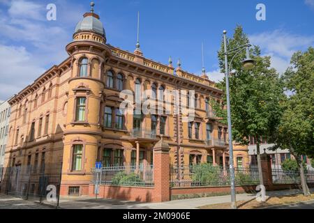 Altbau, Robert-Franz-Ring, Altstadt, Halle an der Saale, Sachsen-Anhalt, Deutschland Stockfoto