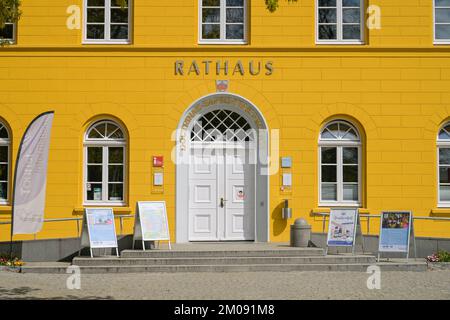 Rathaus, unter den Linden, Ratzeburg, Schleswig-Holstein, Deutschland Stockfoto