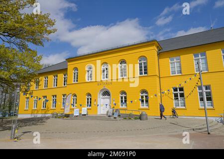 Rathaus, unter den Linden, Ratzeburg, Schleswig-Holstein, Deutschland Stockfoto