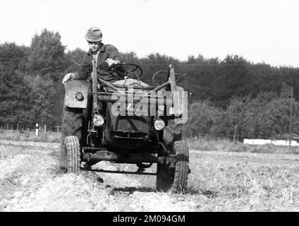 Bauern, die auf den Feldern in Muensterland auf 10.09.1971, Deutschland, Europa arbeiten Stockfoto