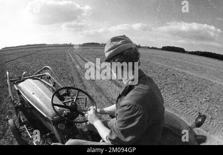 Bauern, die auf den Feldern in Muensterland auf 10.09.1971, Deutschland, Europa arbeiten Stockfoto