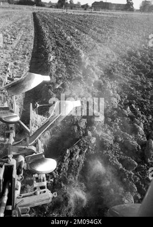 Bauern, die auf den Feldern in Muensterland auf 10.09.1971, Deutschland, Europa arbeiten Stockfoto