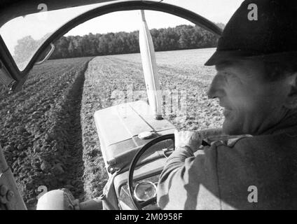 Bauern, die auf den Feldern in Muensterland auf 10.09.1971, Deutschland, Europa arbeiten Stockfoto