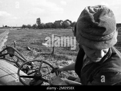 Bauern, die auf den Feldern in Muensterland auf 10.09.1971, Deutschland, Europa arbeiten Stockfoto