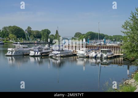 Marina, Boote, Hafen, Schierstein, Wiesbaden, Hessen, Deutschland Stockfoto