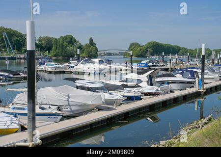Marina, Boote, Hafen, Schierstein, Wiesbaden, Hessen, Deutschland Stockfoto