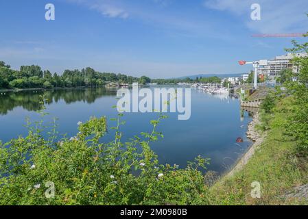 Hafen, Schierstein, Wiesbaden, Hessen, Deutschland Stockfoto