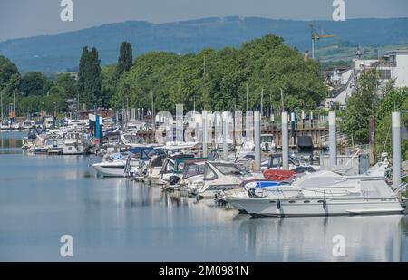Marina, Boote, Hafen, Schierstein, Wiesbaden, Hessen, Deutschland Stockfoto