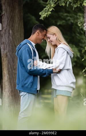 Seitenansicht eines lächelnden gemischtrassigen Paares in Kapuzenpullis, das Kopf an Kopf im Park steht Stockfoto