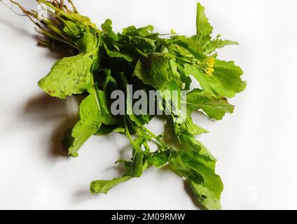 Blattgemüse - Ölsaat Senfpflanze. Die Blätter, Samen und Stängel dieser Senfsorte sind essbar. Stockfoto