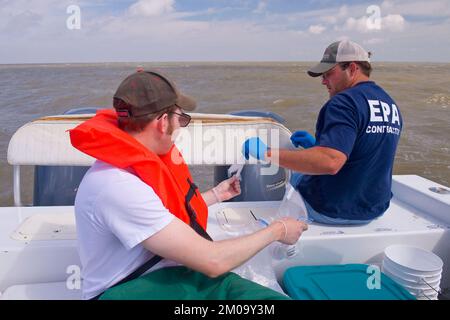 Büro der Verwaltungsrätin (Lisa P. Jackson) - Cocodrie, Louisiana und Wasserprobenahme (BP Oil Lill) - Sediment Sampling, Jarrod Redwine, Environmental Protection Agency Stockfoto