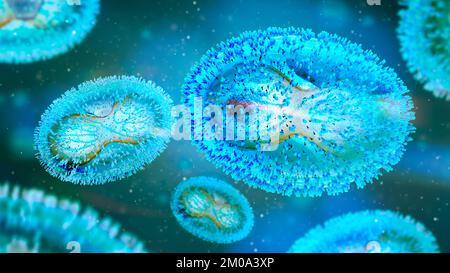 Querschnitt eines Pockenpathogens mit Zellmembran, Nukleokapsid, Zellwand und Glykoproteinen - 3D Abbildung Stockfoto