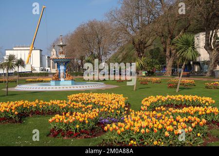 Frühlingsblumen und Brunnen in Princess Gardens, Torquay. Stockfoto