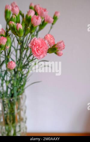 Ein Strauß rosa Nelken in einer Vase mit Blick von oben über die weiße Wand und die Holzschublade. Speicherplatz kopieren. Inneneinrichtung Stockfoto