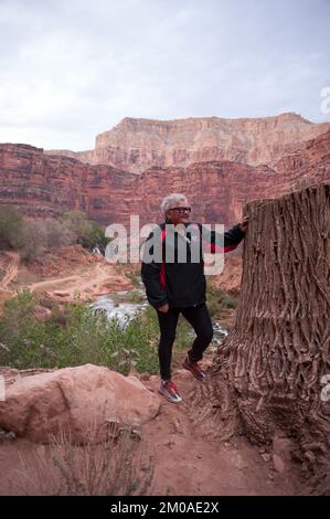 Büro des Administrators - Ureinwohner in Arizona - Bild der Tohono O'odham Nation, Hualapai Stamm, Havasupai Indianerstamm und Havasupai Indianerreservat, Umweltschutzbehörde Stockfoto