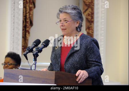 Büro der Verwaltungsrätin - Frauen- und Umweltgipfel, Umweltschutzagentur Stockfoto