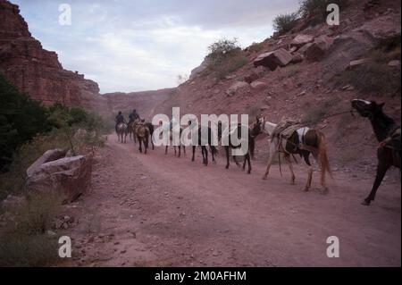 Büro des Administrators - Ureinwohner in Arizona - Bild der Tohono O'odham Nation, Hualapai Stamm, Havasupai Indianerstamm und Havasupai Indianerreservat, Umweltschutzbehörde Stockfoto