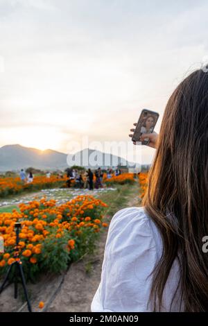 Junge Frau nimmt ein Selfie mit traditionellen Cempasuchilblüten, die am Tag der Toten für Altäre verwendet werden Stockfoto