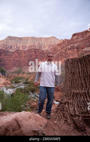 Büro des Administrators - Ureinwohner in Arizona - Bild der Tohono O'odham Nation, Hualapai Stamm, Havasupai Indianerstamm und Havasupai Indianerreservat, Umweltschutzbehörde Stockfoto