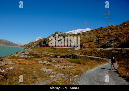 Schweizer alpen: BERNINA Express Zugfahrt durch den oberen Engadin Stockfoto