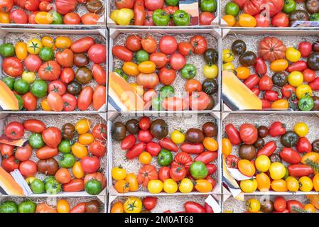 Eine Auswahl an frischem Gemüse Stockfoto