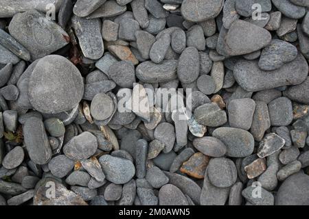 Der trockene Fluss ist steinig Stockfoto