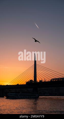 Wunderschöner Sonnenuntergang, Goldene Stunden, Golden Horn Metro Bridge und der Blick auf das Goldene Horn in Istanbul, Sonnenuntergang, Vögel, die in Richtung Sonne fahren, T Stockfoto