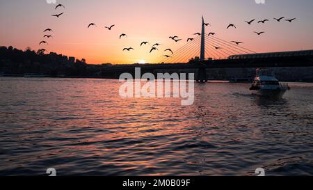 Wunderschöner Sonnenuntergang, Goldene Stunden, Golden Horn Metro Bridge und der Blick auf das Goldene Horn in Istanbul, Sonnenuntergang, Vögel, die in Richtung Sonne fahren, T Stockfoto