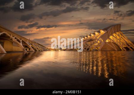 Die Stadt der Künste und Wissenschaften, Valencia, Spanien, beleuchtet bei Nacht, Reflexionen im Wasser. Stockfoto