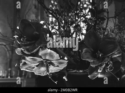 Trauernde Blumen in der Kirche. Schwarzweißfotografie Stockfoto