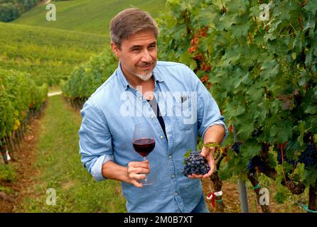 Porträt eines glücklichen Mannes im Weinberg mit einem Glas Rotwein. Winzer, Agrarunternehmer, Besitzer, Winzer. Stockfoto