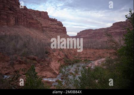 Büro des Administrators - Ureinwohner in Arizona - Bild der Tohono O'odham Nation, Hualapai Stamm, Havasupai Indianerstamm und Havasupai Indianerreservat, Umweltschutzbehörde Stockfoto