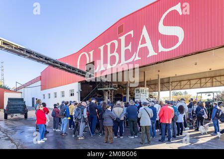 Huelva, Spanien - 4. Dezember 2022: Eine Gruppe von Personen, die eine moderne Olivenölmühle besuchen Olivenölfabrik Olibeas extra im Dorf B. Stockfoto