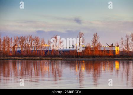 Zwei große Autotransportschiffe, die den südlichen Arm des Fraser River in Steveston, British Columbia, Kanada, passieren Stockfoto