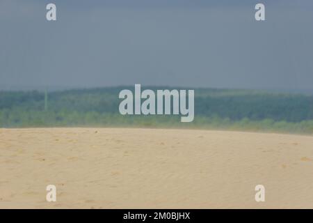 Vom Wind über die Düne du Pilat geblasener Sand, die größte Sanddüne Europas mit Kiefernwald im Hintergrund, Arcachon, Nouvelle-Aquitaine, Frankreich Stockfoto