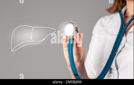 Leber, innere Organerkrankungen, Gesundheit. Arztliches Check-up-Konzept. Hochwertiges Foto Stockfoto