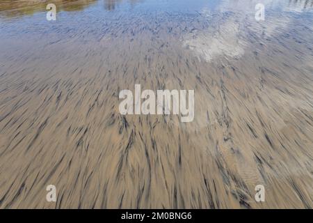 Abstrakte Wellenmuster verschiedener Farben, die durch Sand und Wasser gebildet werden. Reflexion am Strand. Stockfoto