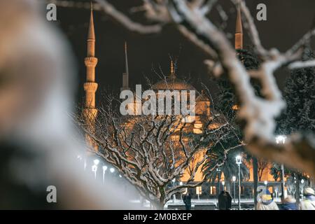 Sultanahmet-Moschee und schneebedeckte Äste eines Baumes. Istanbul im Winter. Istanbul Turkiye - 1.23.2022 Stockfoto