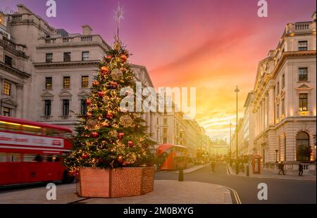 London, Großbritannien - 23. November 2022: Weihnachtsbaum im Zentrum von London, England Stockfoto