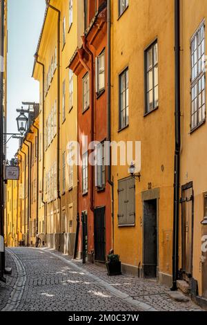 STOCKHOLM, SCHWEDEN - 31. JULI 2022: Prästgatan ist eine der berühmtesten Straßen in der Gamla Stan Gegend. Stockfoto