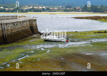 Hafen von Rianxo bei Ebbe. Grüne Algen und ein verankertes Fischerboot vor der Wand unter einem grauen bewölkten Himmel im Hintergrund Stockfoto