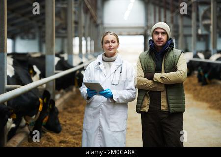 Junger selbstbewusster männlicher Besitzer einer Kuhfarm und weibliche Tierärztin im Labormantel, die zwischen Kuhställen auf die Kamera schaut Stockfoto