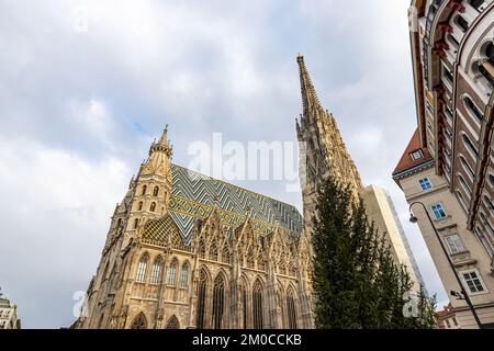 St. Stephansdom in Wien zur Weihnachtszeit, Österreich. St. Stephansdom und Weihnachtsbaum in Wien, wunderschöne gotische Architektur. Stockfoto