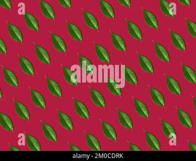 Kreatives, nahtloses Muster aus grünen Blättern auf magentafarbenem Hintergrund. Kreatives Design im flachen Design. Draufsicht. Modell. Stockfoto