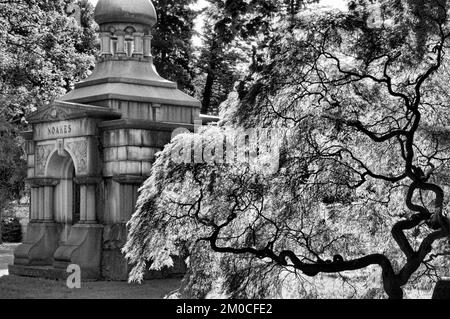 Woodlawn Friedhof. Webster Avenue, Ecke East 233. Street. Woodlawn 4 (Mo-so 8:30-17 / Fotos nach vorheriger Genehmigung). Tel.: 718-920-0500. Das Hier Stockfoto