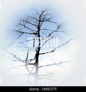 Abstraktes Farbfoto, das Waldgewässer in einer wirklich wilden Umgebung zeigt, das Bild ist eine abstrakte Farbe mit einem nahezu impressionistischen Stil, Stockfoto