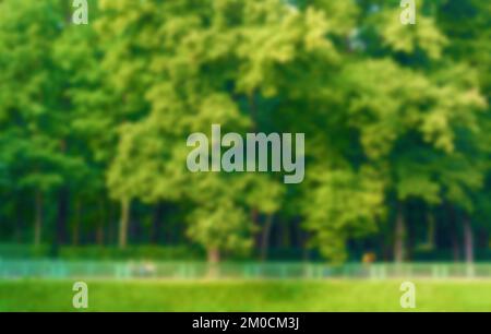 Verwischen Sie natürliche und helle Hintergründe im Park. Bokeh Hellgelb Grün abstrakte Hintergrundtexturen. Stockfoto