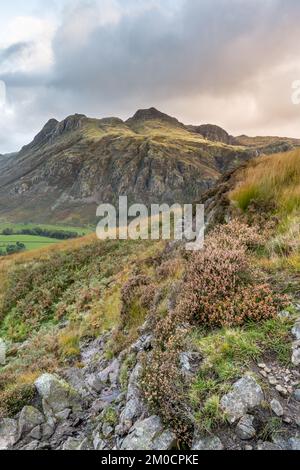 Mit Blick über Great Langdale zu den Langdale Pikes von Side Pike Stockfoto