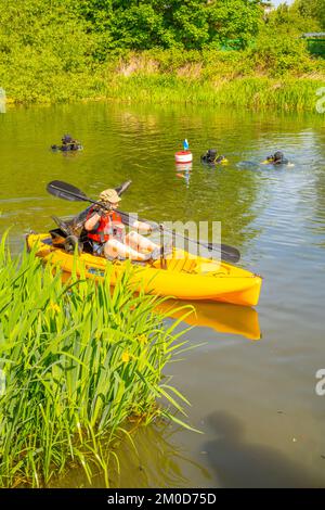 Taucher, die eine Flussreinigung an den Flüssen Chelmer und Can in Chelmsford Essex durchführen Stockfoto